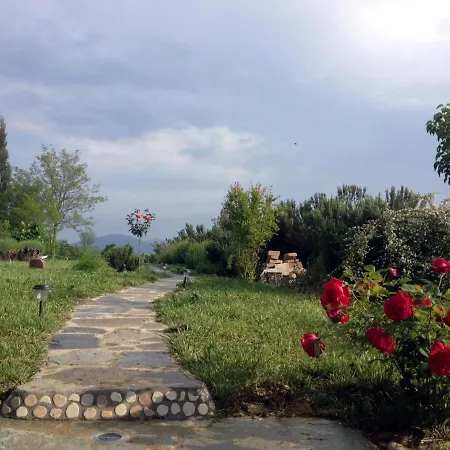 Casa Avena Nyaraló *